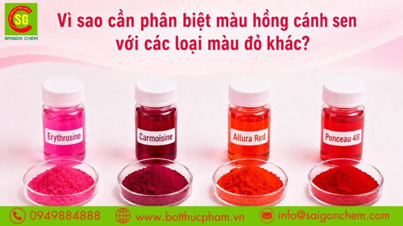 ph&acirc;n biệt m&agrave;u hồng c&aacute;nh sen
